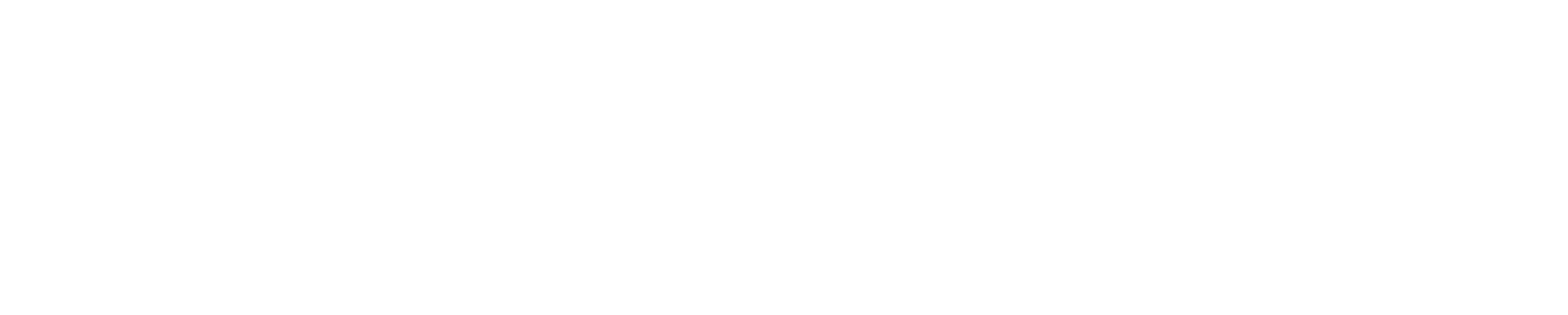 logo light